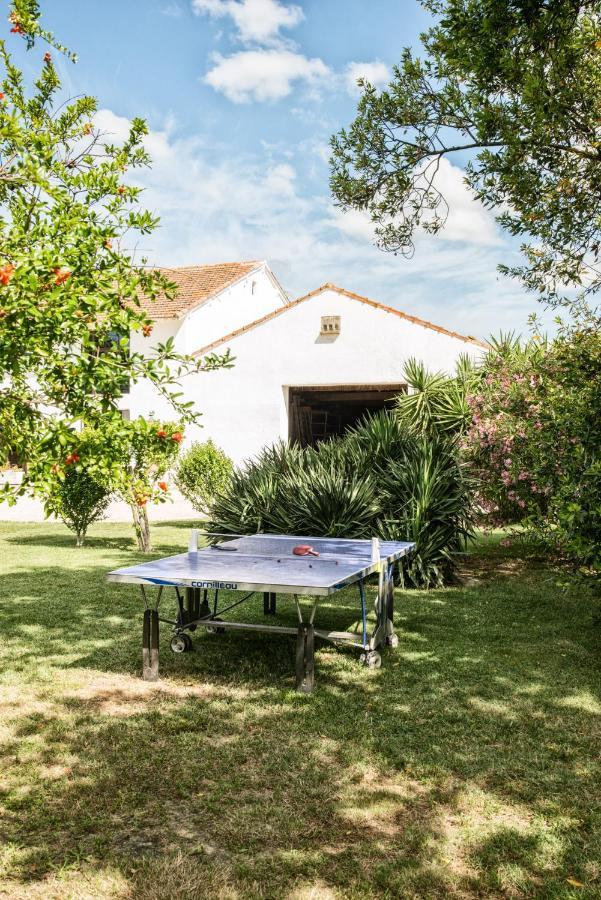Bed and Breakfast Mas De Bouvet En Camargue Albaron Exteriér fotografie