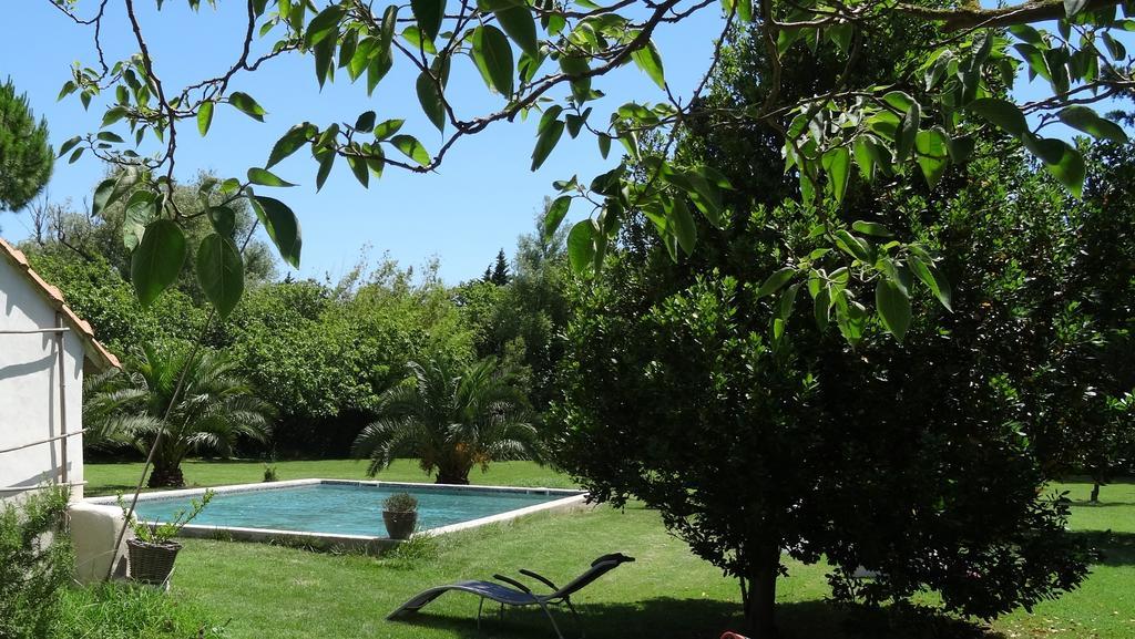Bed and Breakfast Mas De Bouvet En Camargue Albaron Exteriér fotografie