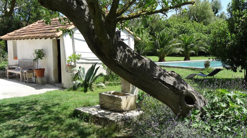Bed and Breakfast Mas De Bouvet En Camargue Albaron Exteriér fotografie