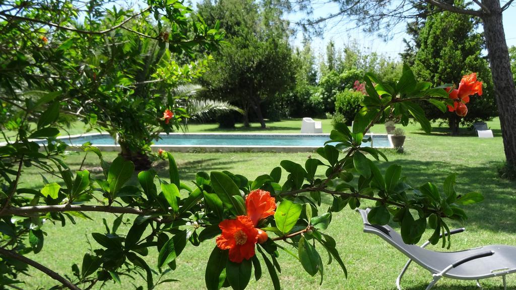 Bed and Breakfast Mas De Bouvet En Camargue Albaron Exteriér fotografie