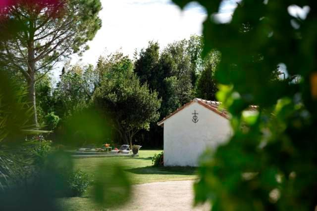 Bed and Breakfast Mas De Bouvet En Camargue Albaron Exteriér fotografie