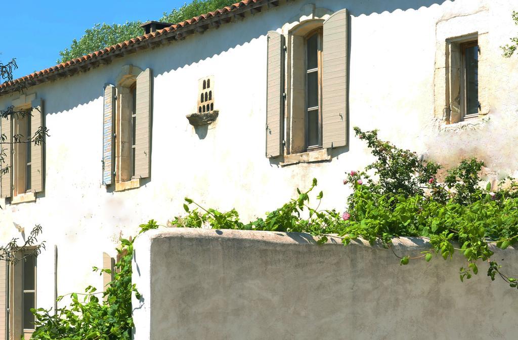 Bed and Breakfast Mas De Bouvet En Camargue Albaron Exteriér fotografie